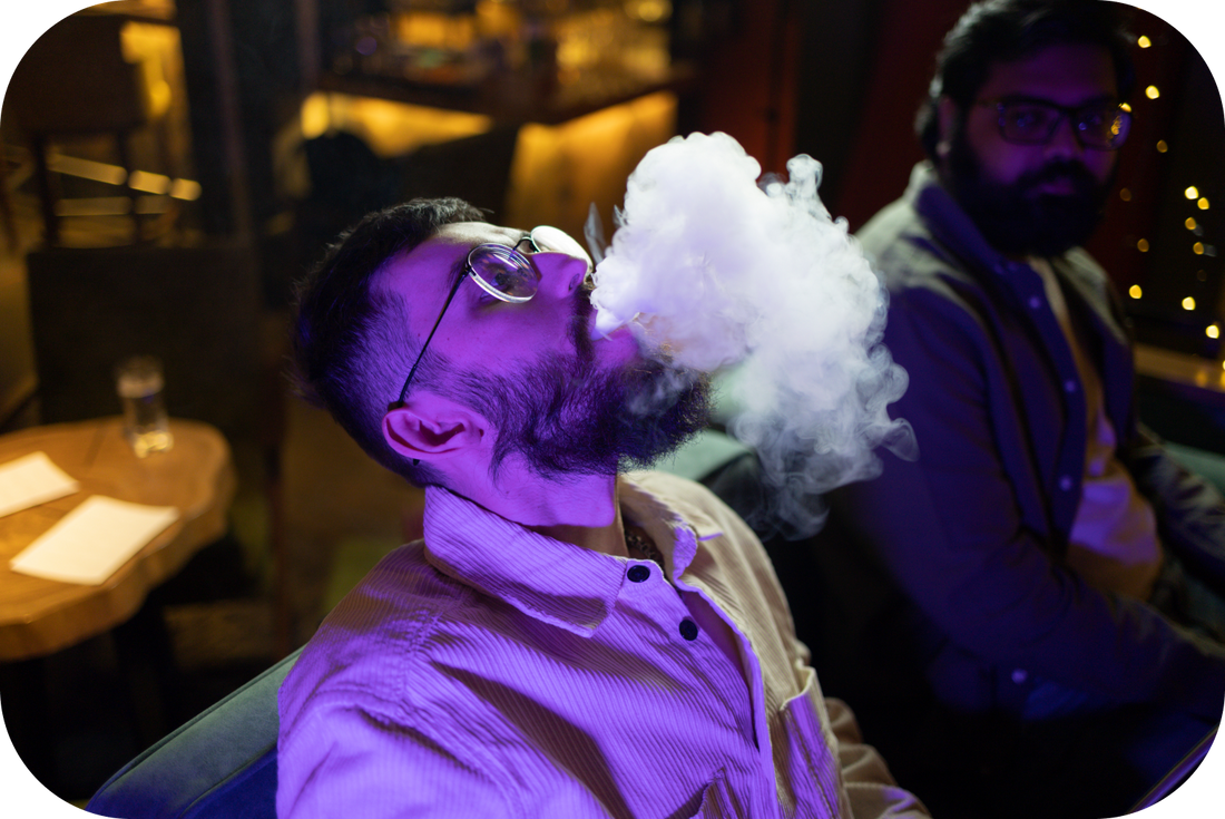 Navigating the Economic Landscape of the E-Cigarette Industry