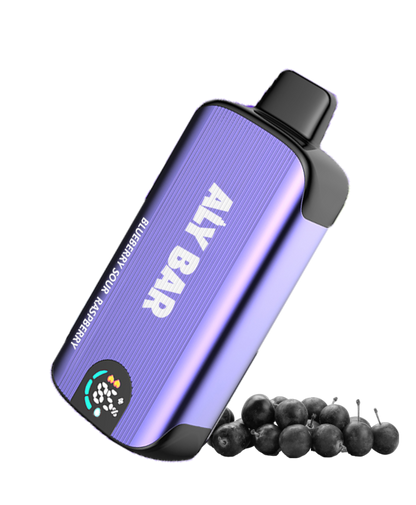 Burst 20k Puffs Dual Mesh (Blueberry Sour Raspberry)